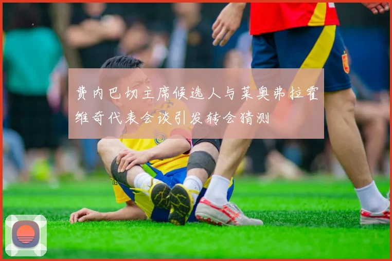 费内巴切主席候选人与莱奥弗拉霍维奇代表会谈引发转会猜测