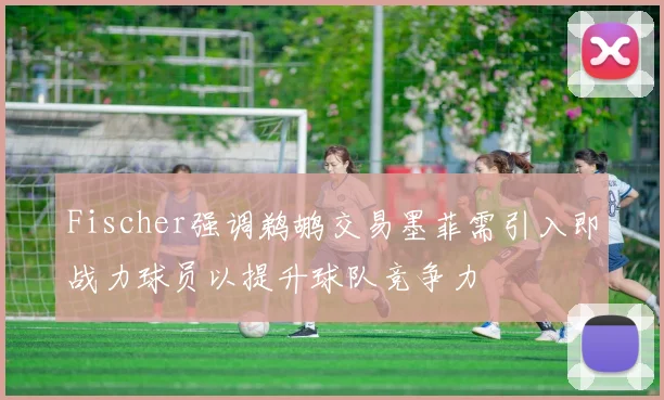 Fischer强调鹈鹕交易墨菲需引入即战力球员以提升球队竞争力